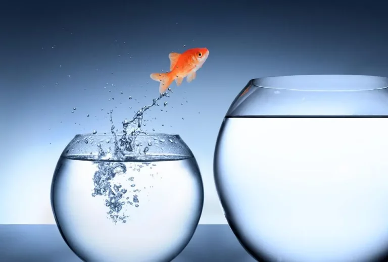 Fear of change