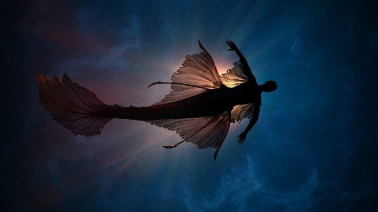 Exploring dreams