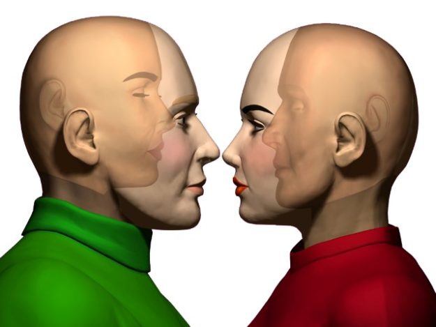 Projective identification