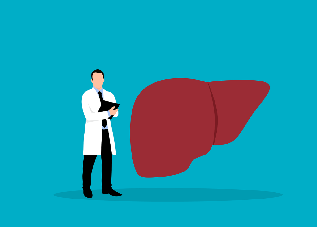 liver