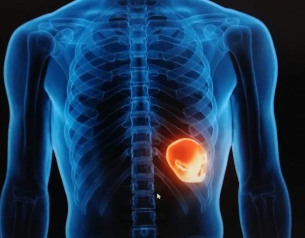 kidneys psychosomatics