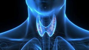 Thyroid diseases