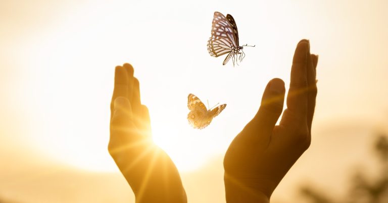 Let Go