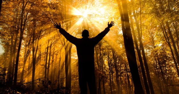 Family Constellations